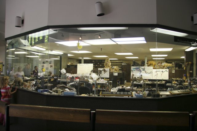 La Brea Tar Pits
(Click on the picture for the full-size version)