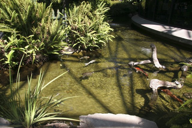 La Brea Tar Pits
(Click on the picture for the full-size version)