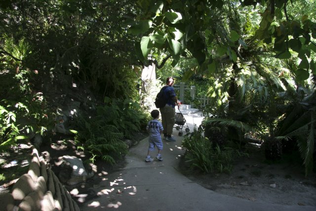 La Brea Tar Pits
(Click on the picture for the full-size version)