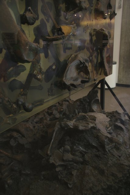 La Brea Tar Pits
(Click on the picture for the full-size version)