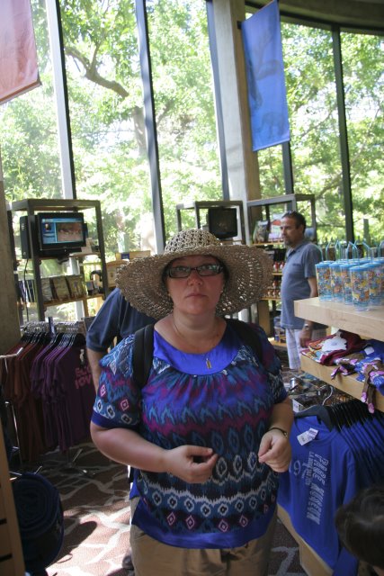 La Brea Tar Pits
(Click on the picture for the full-size version)