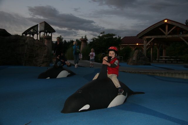 In Crossroads park
(Click on the picture for the full-size version)