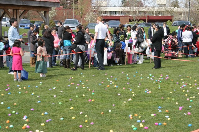 Alin Constantin's Photography - Egg hunt, 2012
(Click on the picture for the full-size version)