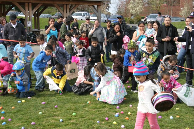 Alin Constantin's Photography - Egg hunt, 2012
(Click on the picture for the full-size version)