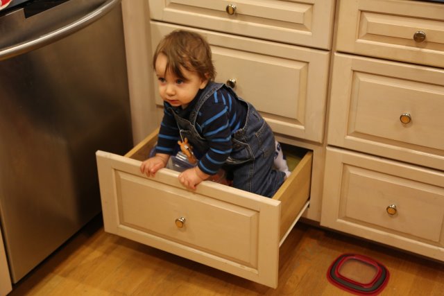 Vlad si Radu in 2013
(Click on the picture for the full-size version)