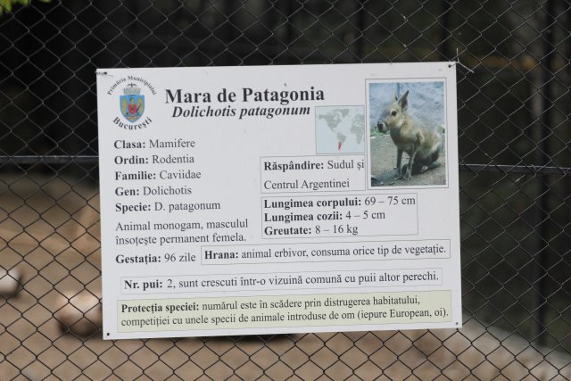 Vlad si Miru - Bucharest museums
(Click on the picture for the full-size version)