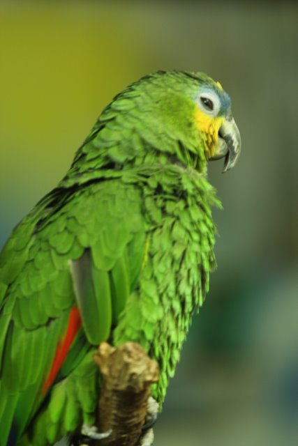 Vlad si Miru - Bucharest museums
(Click on the picture for the full-size version)