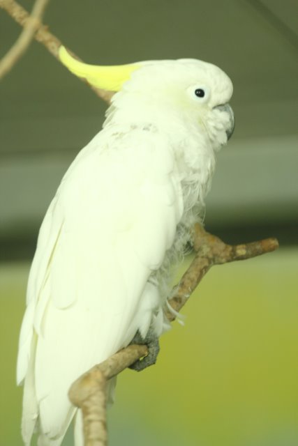 Vlad si Miru - Bucharest museums
(Click on the picture for the full-size version)