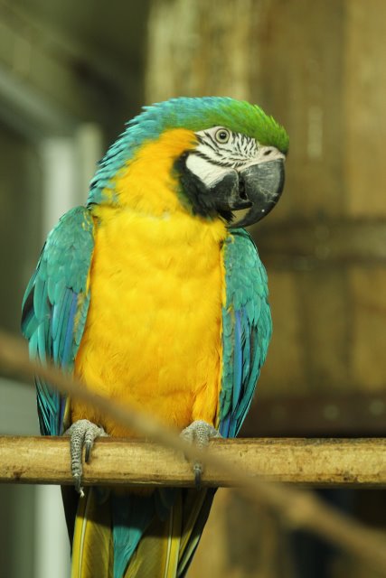 Vlad si Miru - Bucharest museums
(Click on the picture for the full-size version)