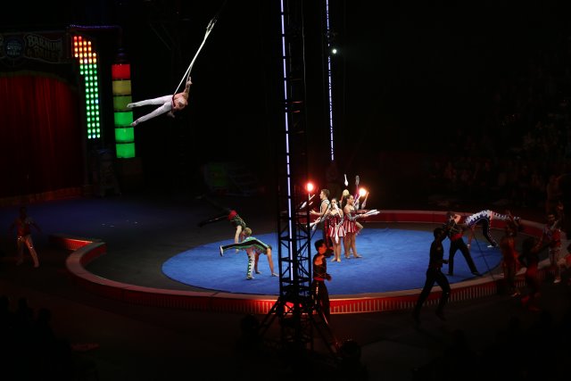 Alin Constantin's Photography - Ringling BrothersBbarnum & Bailey Circus, 10/13
(Click on the picture for the full-size version)