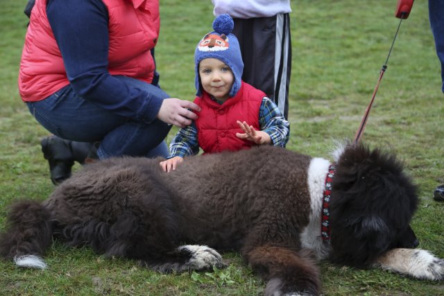 Soccer weekends, 10/19 & 10/26
(Click on the picture for the full-size version)