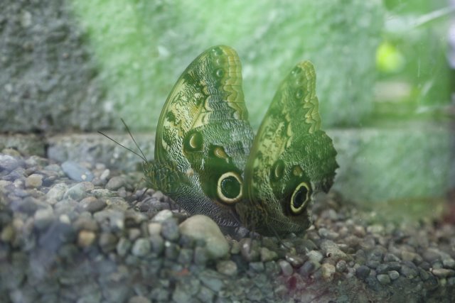 With Vlad at Pacific Science Center
(Click on the picture for the full-size version)