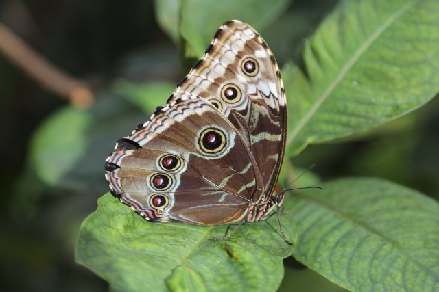 With Vlad at Pacific Science Center
(Click on the picture for the full-size version)