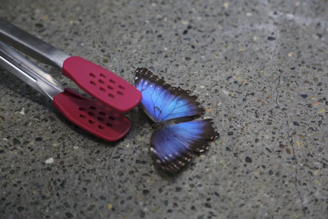 With Vlad at Pacific Science Center
(Click on the picture for the full-size version)