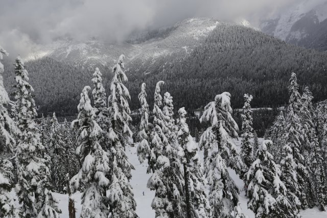 Alin Constantin's Photography - At Snoqualmie Pass, 01/25
(Click on the picture for the full-size version)