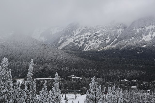 Alin Constantin's Photography - At Snoqualmie Pass, 01/25
(Click on the picture for the full-size version)