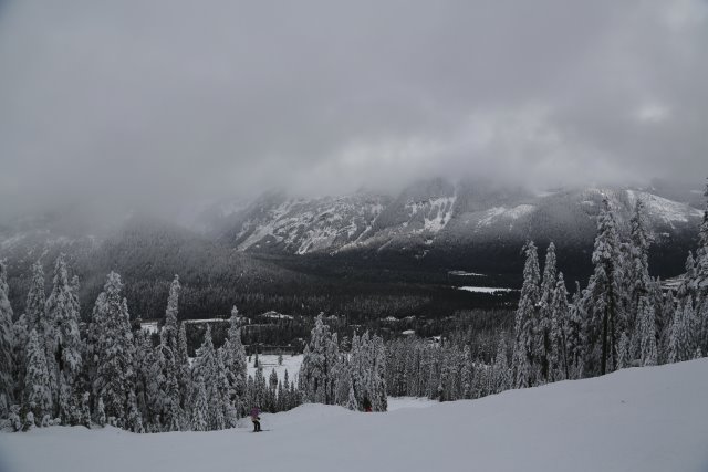 At Snoqualmie Pass, 01/25
(Click on the picture for the full-size version)