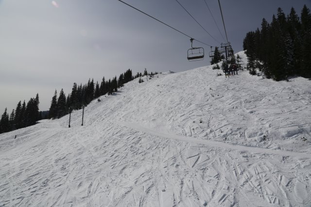 Last ski day @ Powderpigs
(Click on the picture for the full-size version)