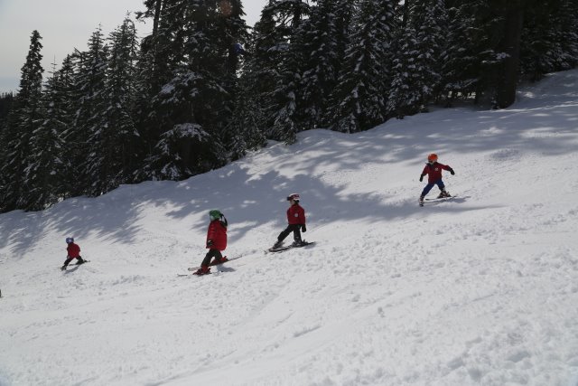Last ski day @ Powderpigs
(Click on the picture for the full-size version)