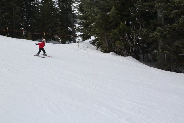 Last ski day @ Powderpigs
(Click on the picture for the full-size version)