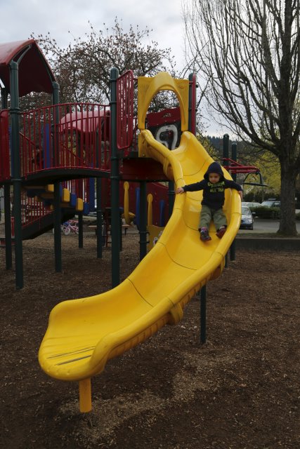 Alin Constantin's Photography - In park @ Issaquah
(Click on the picture for the full-size version)