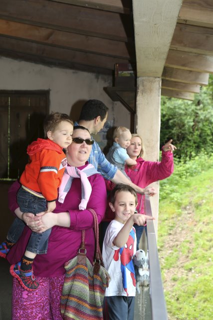 At Woodlands park zoo - Look there!
(Click on the picture for the full-size version)