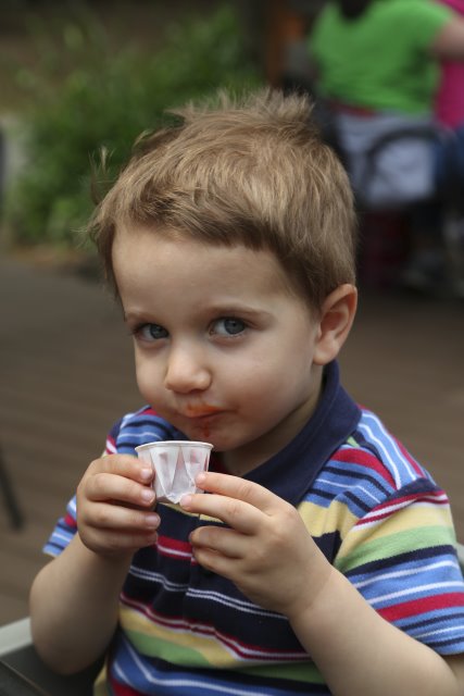 Alin Constantin's Photography - At Woodlands park zoo - Drinking ketchup
(Click on the picture for the full-size version)