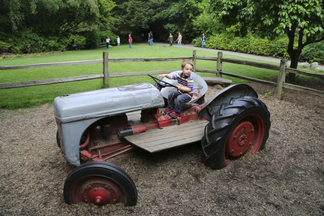 Alin Constantin's Photography - At Woodlands park zoo - My tractor!
(Click on the picture for the full-size version)