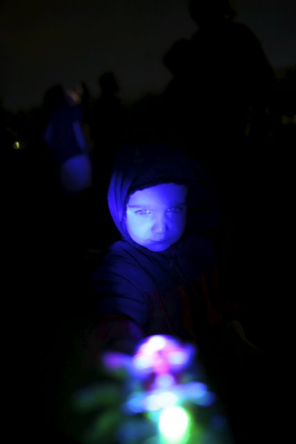 4th of July Fireworks in Bellevue
(Click on the picture for the full-size version)