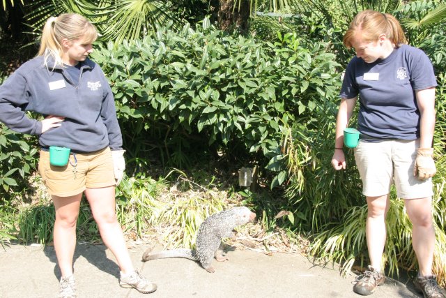 Point Defiance Zoo, Tacoma, 9/21
(Click on the picture for the full-size version)