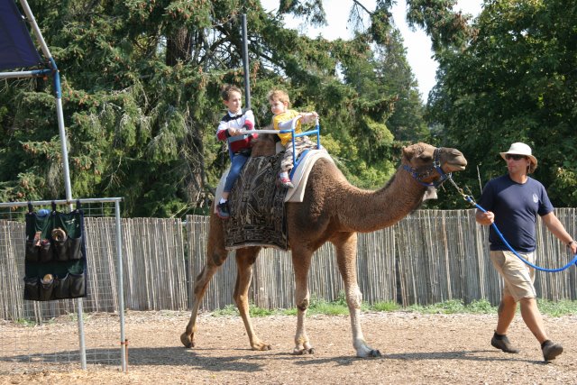Point Defiance Zoo, Tacoma, 9/21
(Click on the picture for the full-size version)