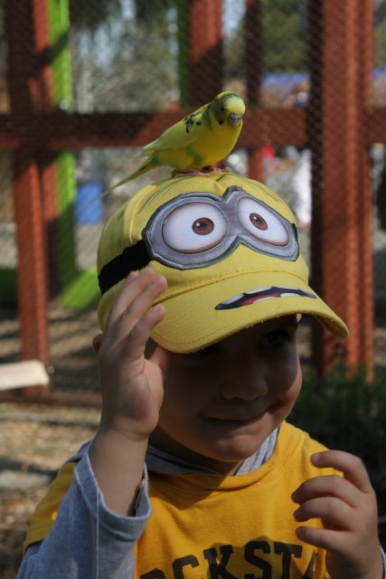 Point Defiance Zoo, Tacoma, 9/21
(Click on the picture for the full-size version)