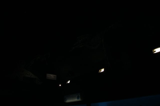 Point Defiance Zoo, Tacoma, 9/21
(Click on the picture for the full-size version)