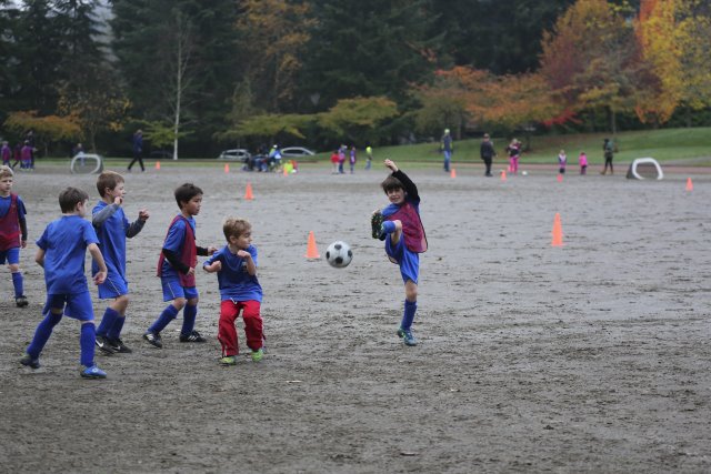 Last soccer day, 11/1 
(Click on the picture for the full-size version)