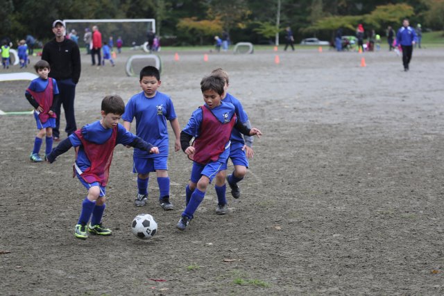 Alin Constantin's Photography - Last soccer day, 11/1 
(Click on the picture for the full-size version)
