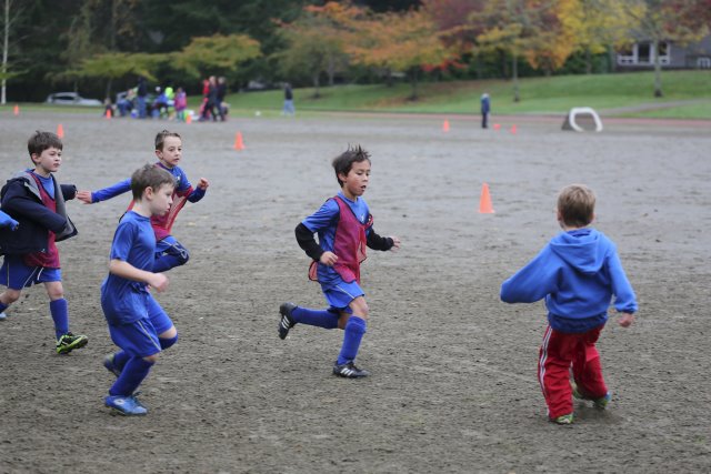 Last soccer day, 11/1 
(Click on the picture for the full-size version)