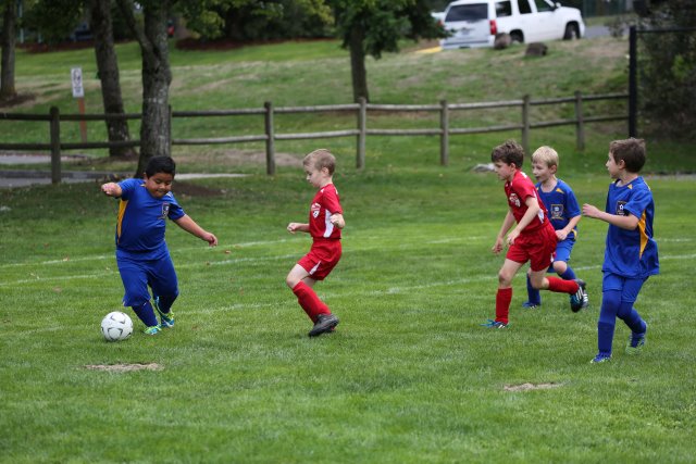 15-09-05-Jamboree
(Click on the picture for the full-size version)