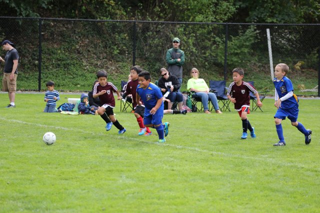 15-09-05-Jamboree
(Click on the picture for the full-size version)