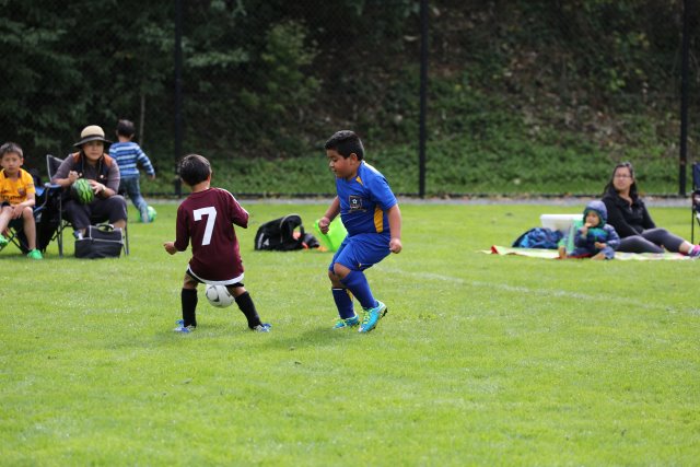 15-09-05-Jamboree
(Click on the picture for the full-size version)