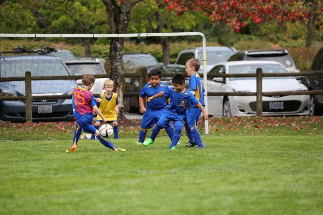 15-09-05-Jamboree
(Click on the picture for the full-size version)