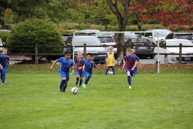 15-09-05-Jamboree
(Click on the picture for the full-size version)