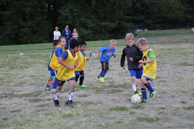 Soccer training,  09-16
(Click on the picture for the full-size version)