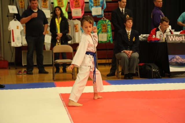 Vlad @ West Coast Open Karate Tournament, 10/18
(Click on the picture for the full-size version)