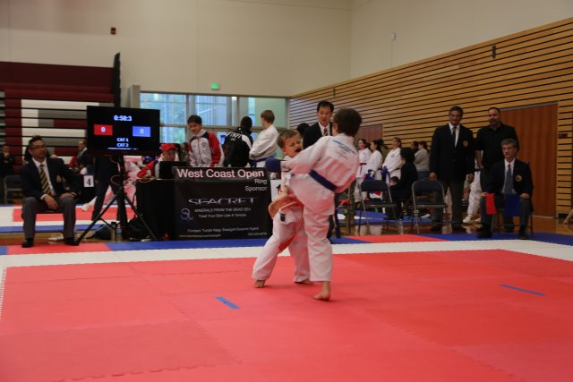 Vlad @ West Coast Open Karate Tournament, 10/18
(Click on the picture for the full-size version)