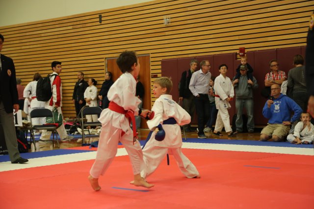 Vlad @ West Coast Open Karate Tournament, 10/18
(Click on the picture for the full-size version)