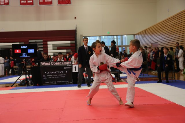 Vlad @ West Coast Open Karate Tournament, 10/18
(Click on the picture for the full-size version)