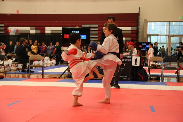 Vlad @ West Coast Open Karate Tournament, 10/18
(Click on the picture for the full-size version)