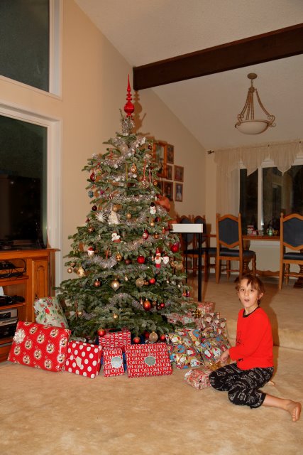 2015 Santa and XMas
(Click on the picture for the full-size version)