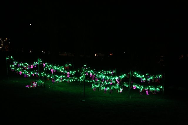 Garden D'Lights
(Click on the picture for the full-size version)