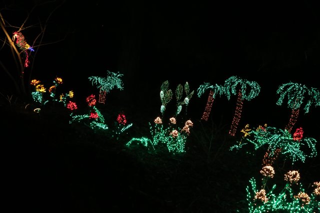 Alin Constantin's Photography - Garden D'Lights
(Click on the picture for the full-size version)